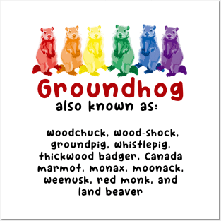 A Rainbow Groundhog By Any Other Name Posters and Art